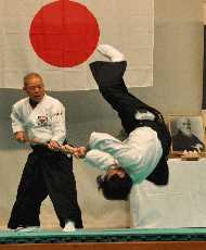 合気道杖投げ